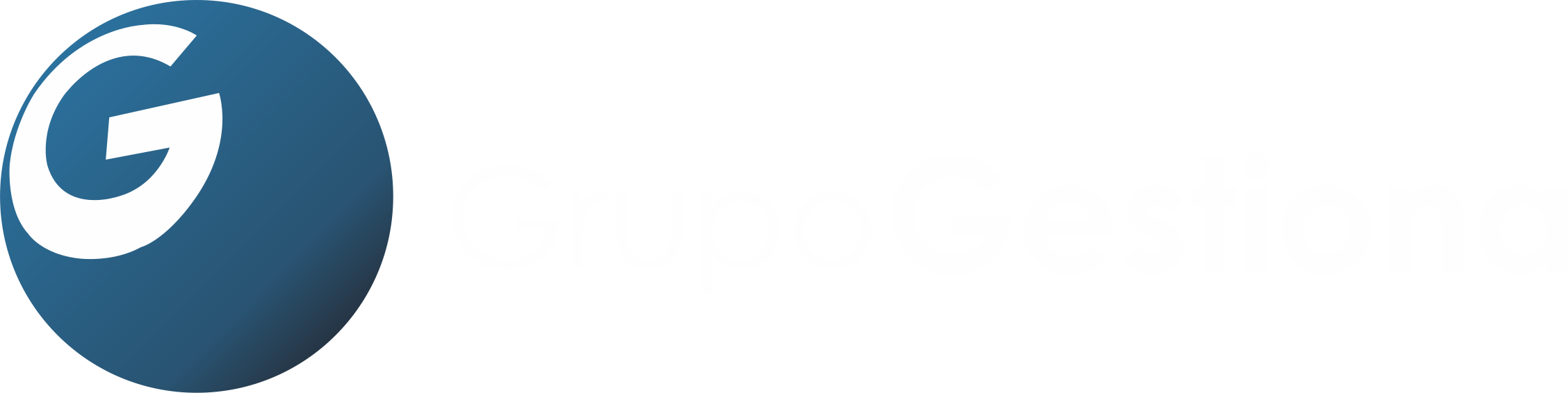 GRUPO GESTIONA